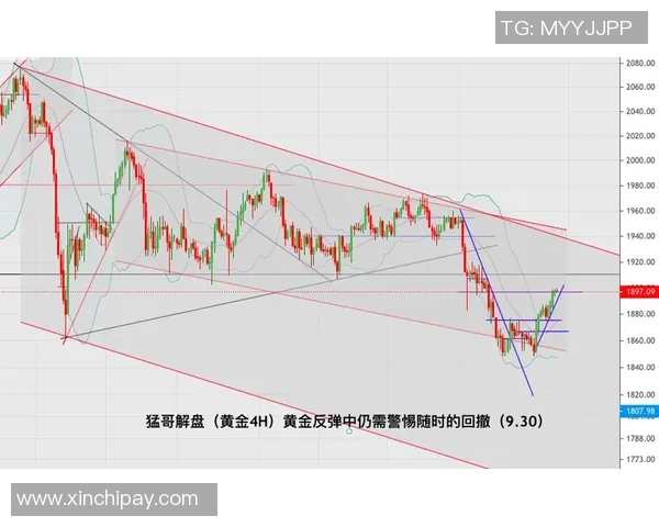 墨西哥对阵瑞典的欧盘亚盘分析与投注策略探讨